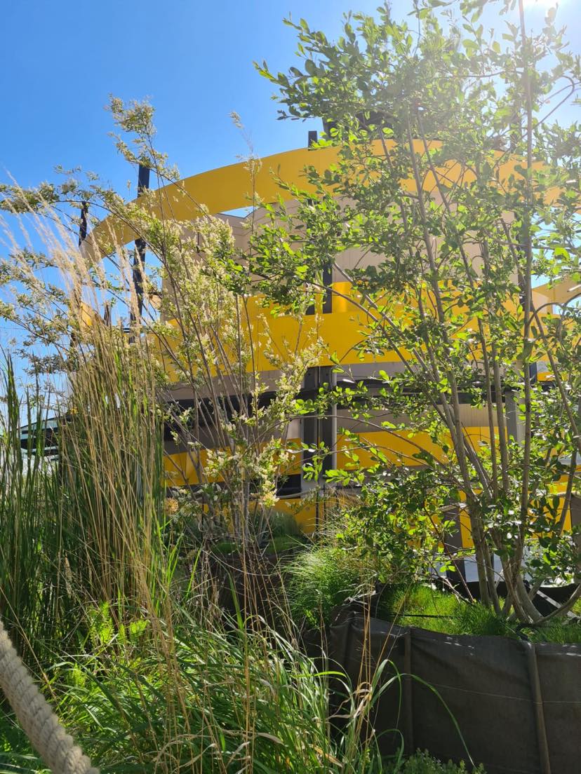 lpa_mobilites's tweet image. Besoin d&apos;une pause #nature ? Envie de voir autre chose que l&apos;architecture urbaine ? 🏢🚦

Rendez-vous sur le roof top du parking des Halles afin de profiter de la parenthèse bucolique qu&apos;apporte le jardin suspendu ! 🌿

#timeforabreak #natureinthecity