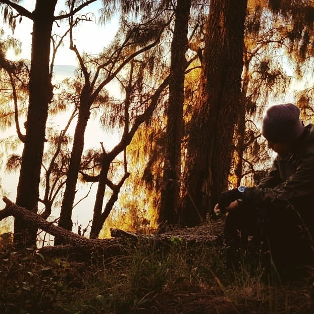 BuayaEmpang's tweet photo. Birds, trees, butterflies, morning dew, and scent of grass. All blended in the golden sky vibe. I still sense it, still see it, still feel it, still listen.

#arjuno #arjunoviapurwosari #ultralighthiking https://t.co/NgG0Gj2W2M