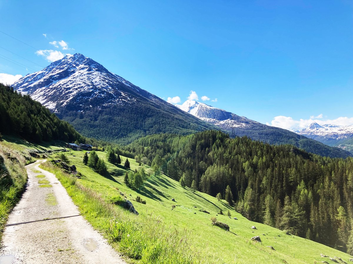 Stijn_VB's tweet image. New blog online : alpandbike.com/le-monal-tigne…