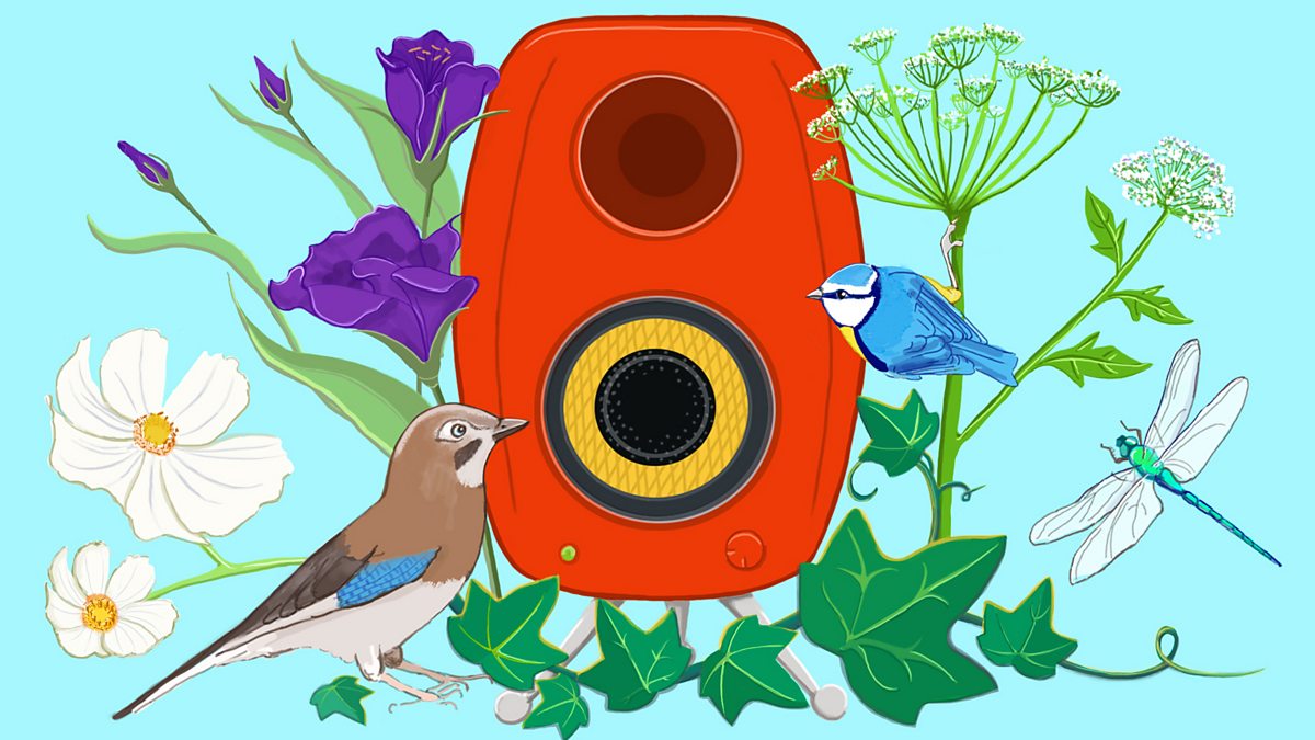 UnitedVoices_'s tweet photo. In a newly commissioned short story by the acclaimed writer Kiare Ladner, art, cocktails and a life long dream come together in this funny yet poignant tale.
#TheLittleThings read by @TreeVoices today at 3.45pm on @BBCRadio4 #ShortWorks https://t.co/1nAovJeuEF