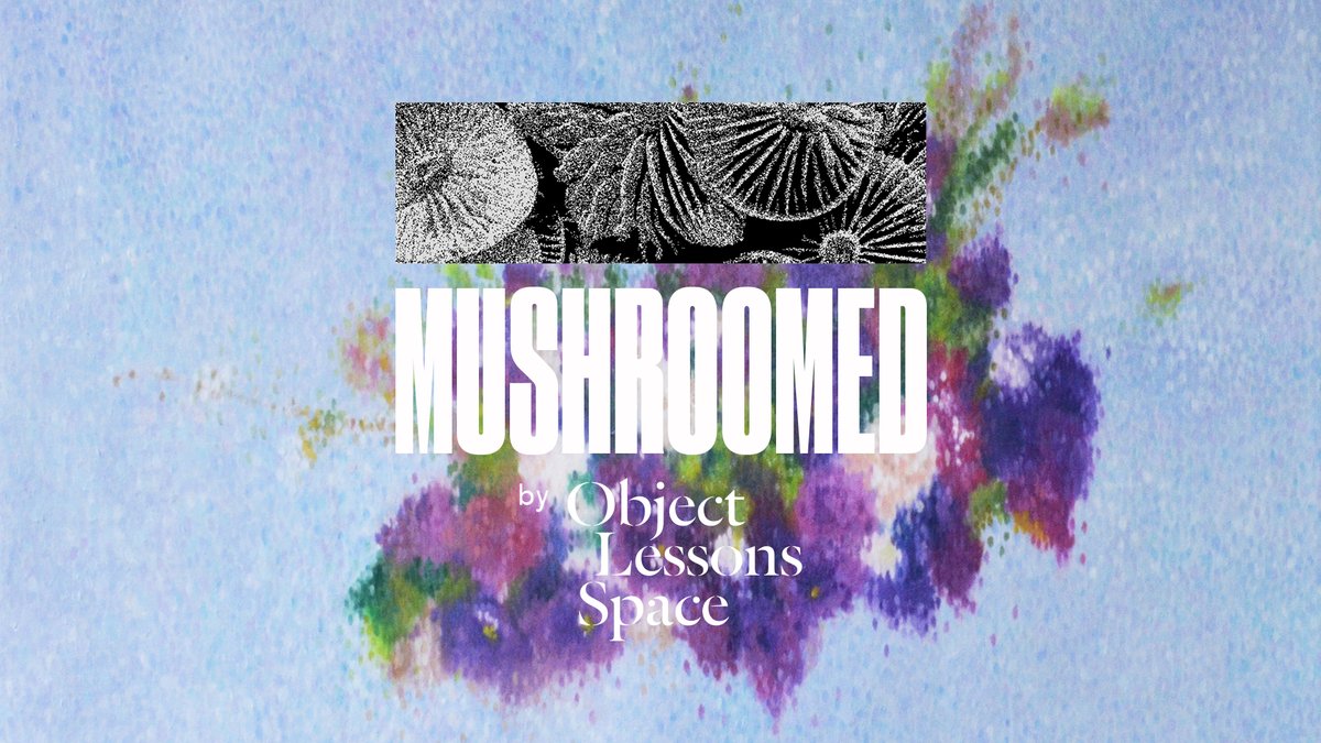 ObjectLessons_'s tweet image. Mushroomed is a series of conversations around art making, artistic networks and ecosystems produced in collaboration with SGCR.

For this episode, we speak to Susanna Tan about the language of flora and fauna, and how she works with them.

Tune in here: open.spotify.com/episode/1gGcbk….