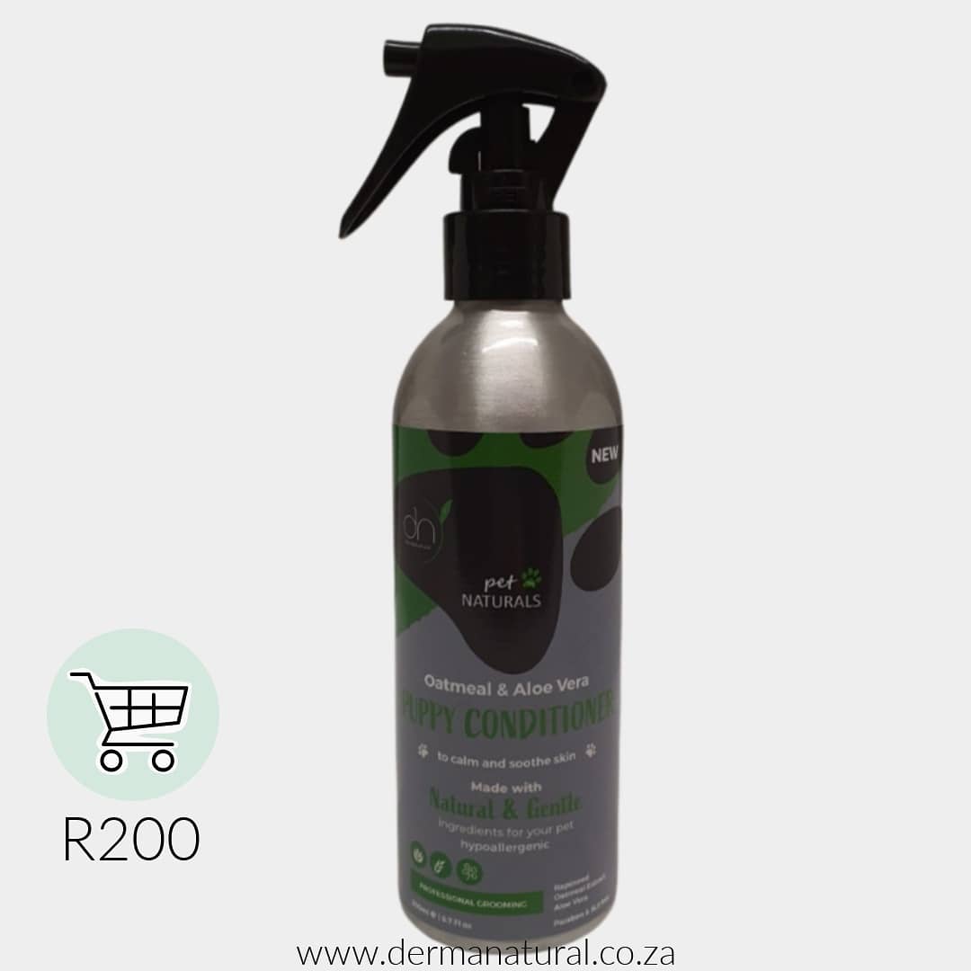 dermanaturalsa's tweet photo. 🛍🐾In Stock🐾🛍
🐾200ml Puppy Conditioner
🐾200ml Puppy Shampoo
🐾200ml Puppy Gift Bag
🐾200ml Dog Shampoo
🐾200ml Dog Conditioner
🐾200ml Dog Gift Bag
🐾90g Repellent Soap Bar

Online shop: https://t.co/8OP9HzNi8s

#ecofriendly are #ecofriendly #zerowaste #sustainable https://t.co/uKqCJlDpSG