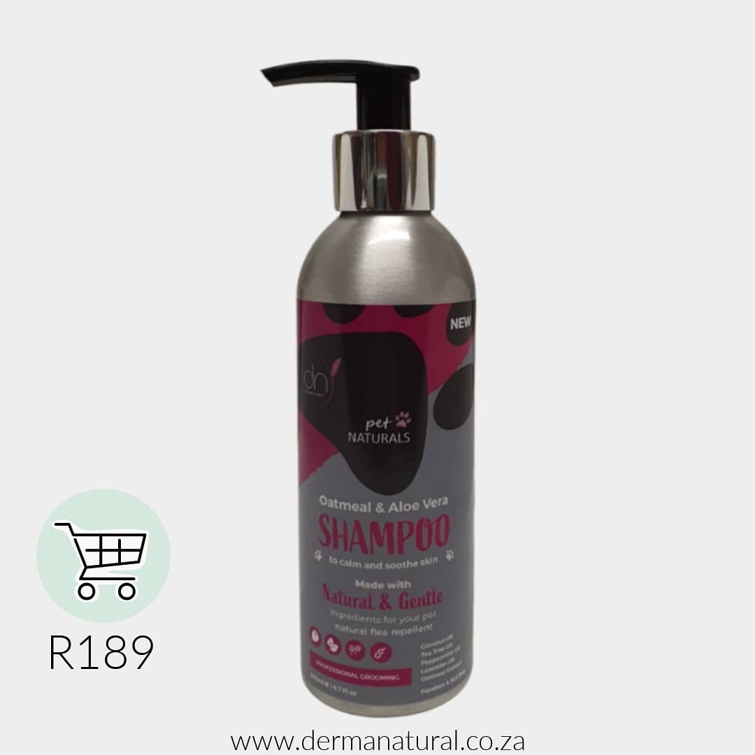 dermanaturalsa's tweet photo. 🛍🐾In Stock🐾🛍
🐾200ml Puppy Conditioner
🐾200ml Puppy Shampoo
🐾200ml Puppy Gift Bag
🐾200ml Dog Shampoo
🐾200ml Dog Conditioner
🐾200ml Dog Gift Bag
🐾90g Repellent Soap Bar

Online shop: https://t.co/8OP9HzNi8s

#ecofriendly are #ecofriendly #zerowaste #sustainable https://t.co/uKqCJlDpSG