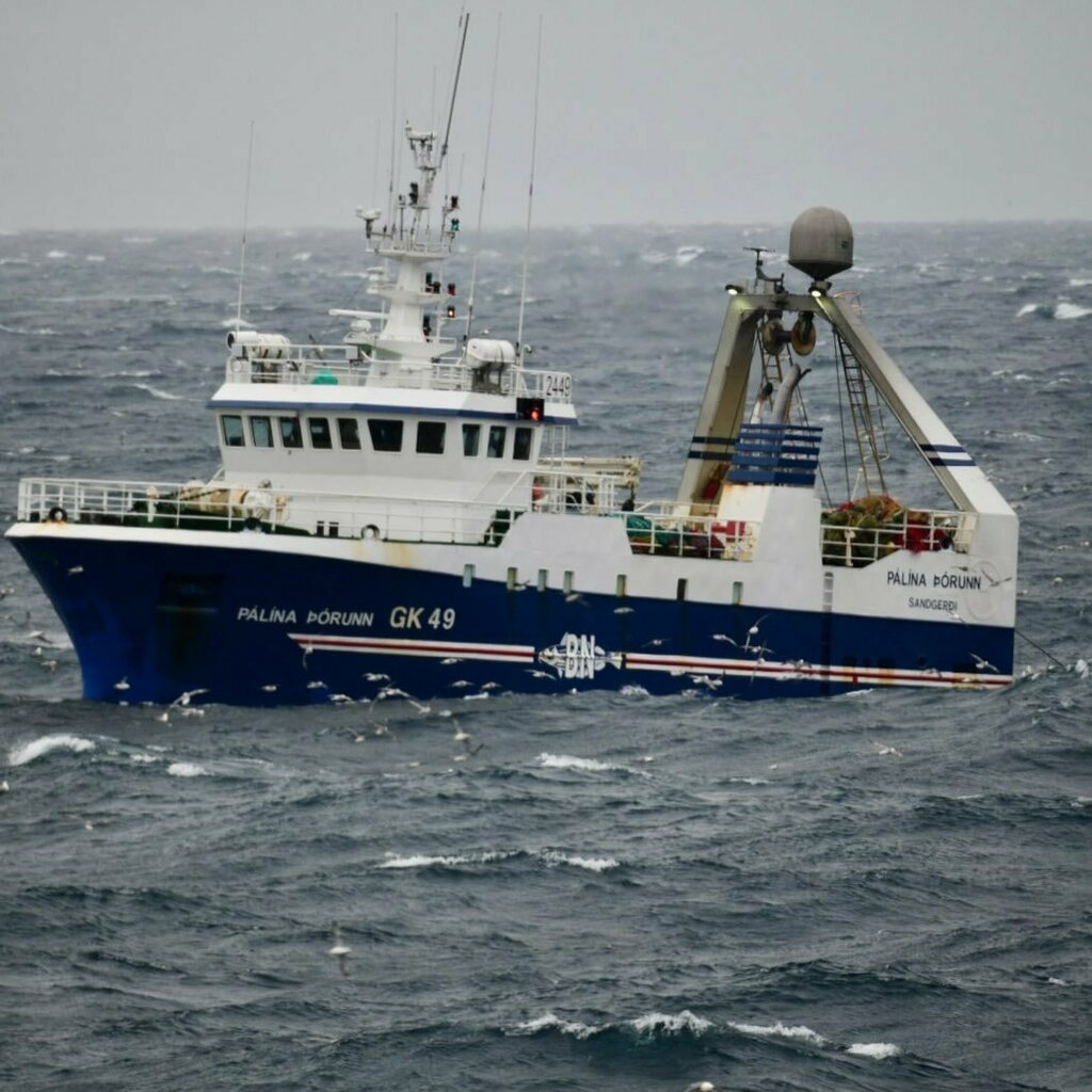 Bergþór Gunnlaugsson tweet media