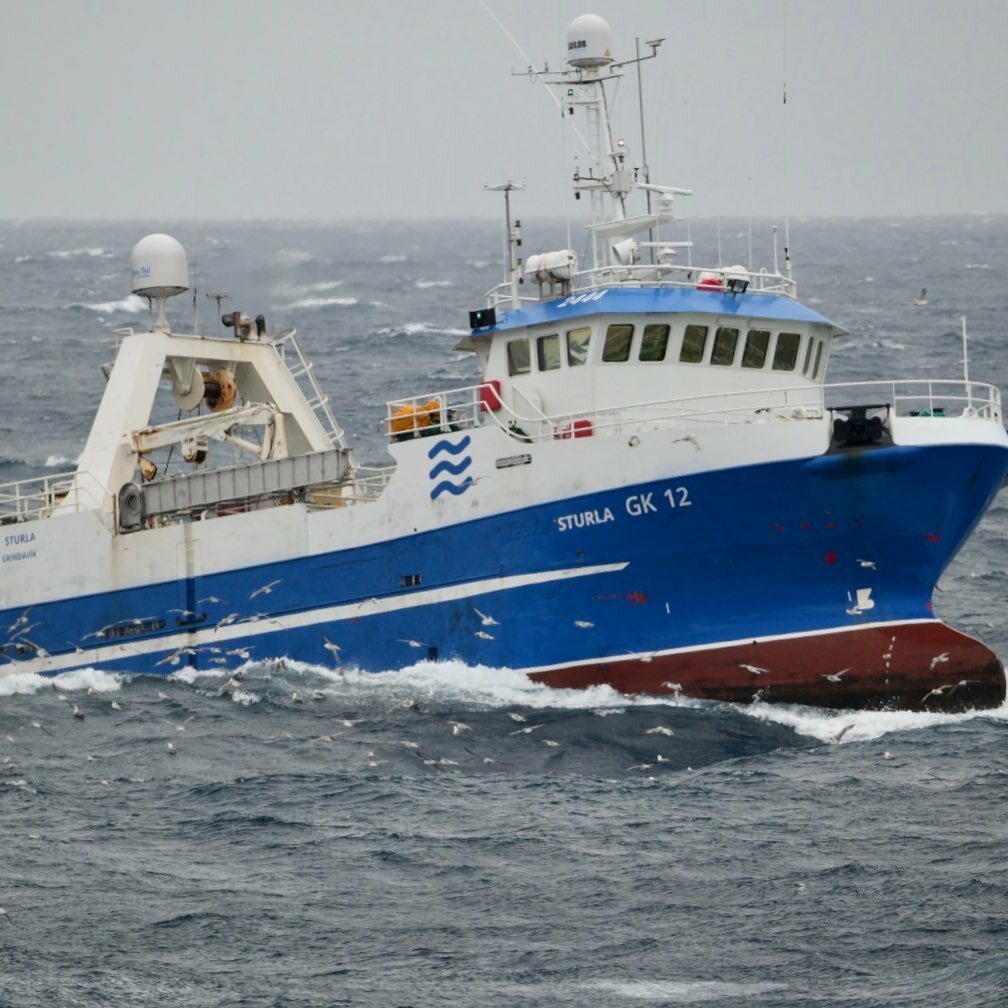 Bergþór Gunnlaugsson tweet media