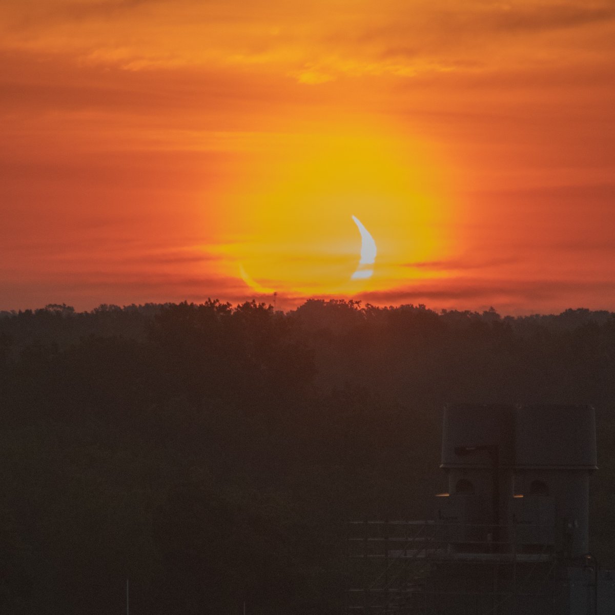 Nicholas Hazel tweet media