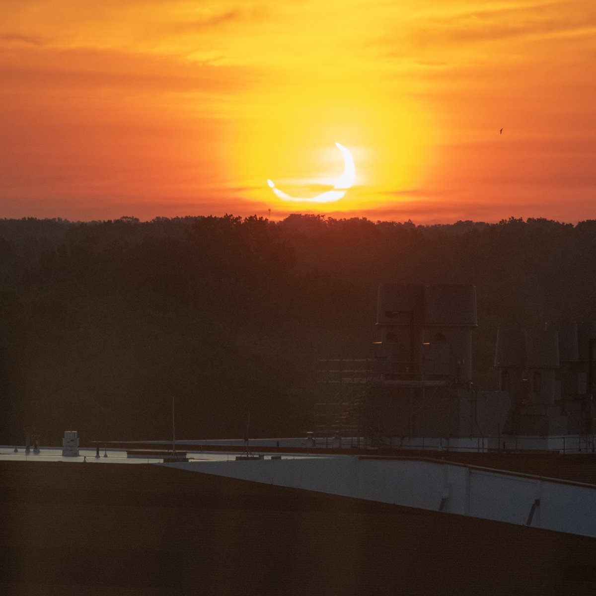 Nicholas Hazel tweet media