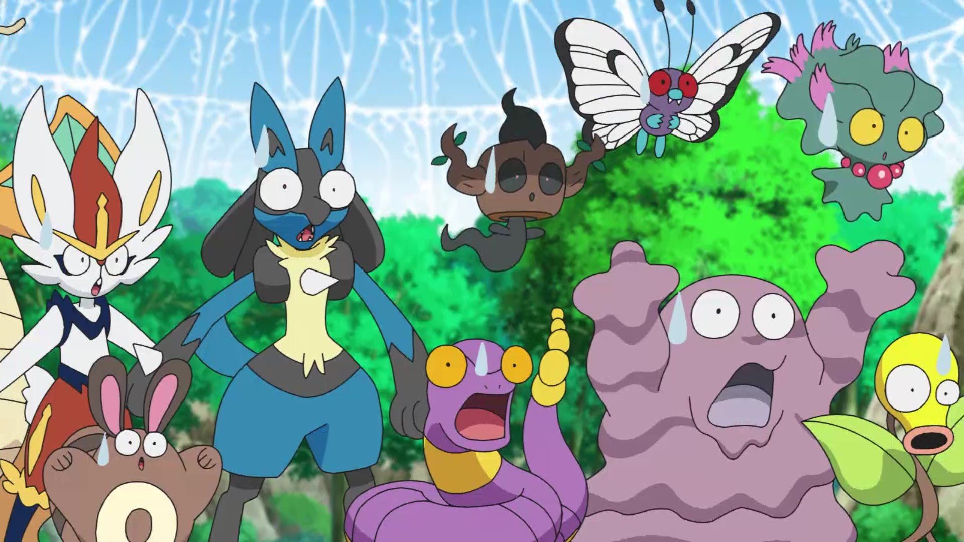 アニメ ポケットモンスター 公式 アニポケ ハイライト アニポケ第47話 ポケモンチャンピオン 大食い王決定戦 に続き モルペコ と ヨクバリス の大食いバトル再び ひょんなことからサクラギパークに迷い込んだモルペコがポケモンフーズを食べ