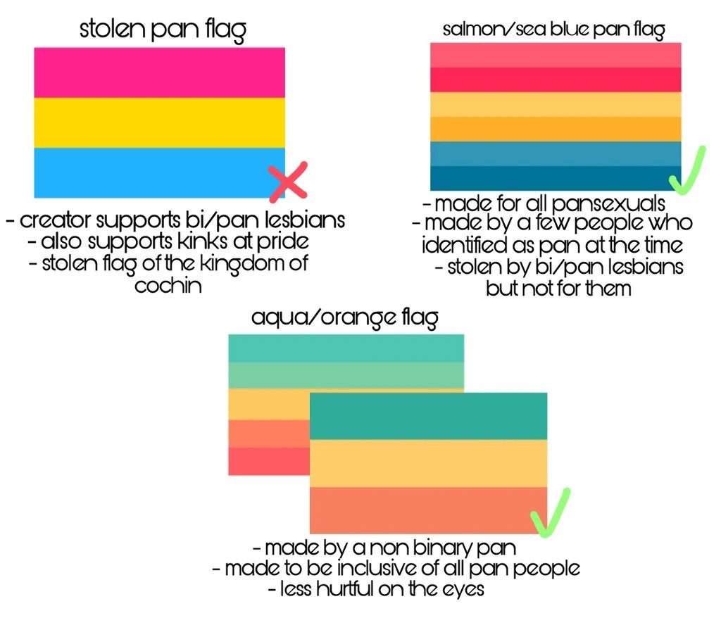 “here's the pan flag version that i researched #pansexual #panprid...