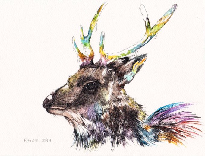 「deer」 illustration images(Latest｜RT&Fav:50)｜5pages