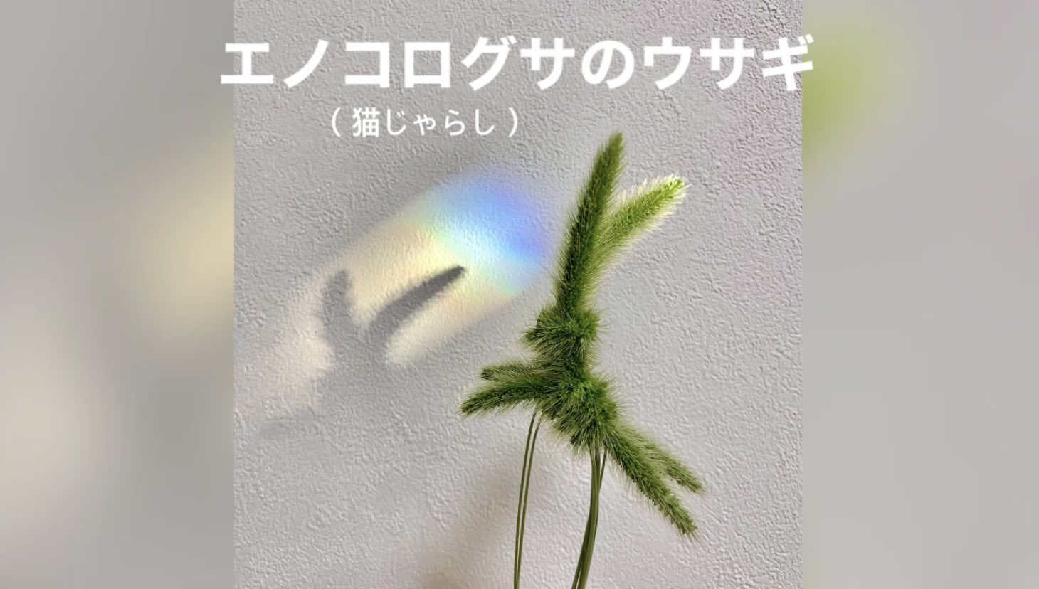 Inori エノコログサ 猫じゃらし のウサギにたくさんのいいね リツイートありがとうございます 早送りしていない動画 説明付き をyoutubeにアップしたので よかったら見てください T Co Htooj1bsxl Youtubeより T Co Skk1zaxecp