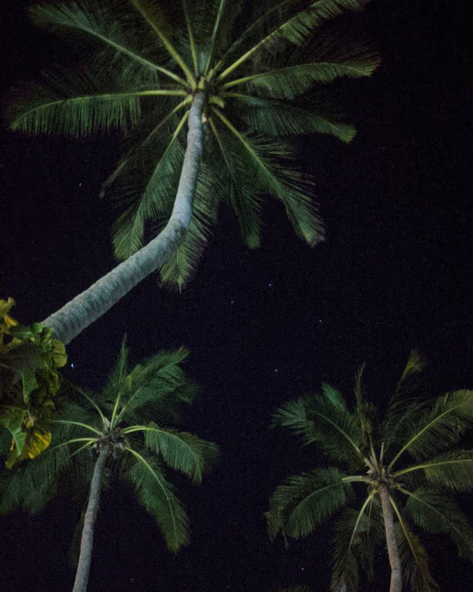 WHY_BE_'s tweet image. fromheretillnow.com/zine/yegorka-r…