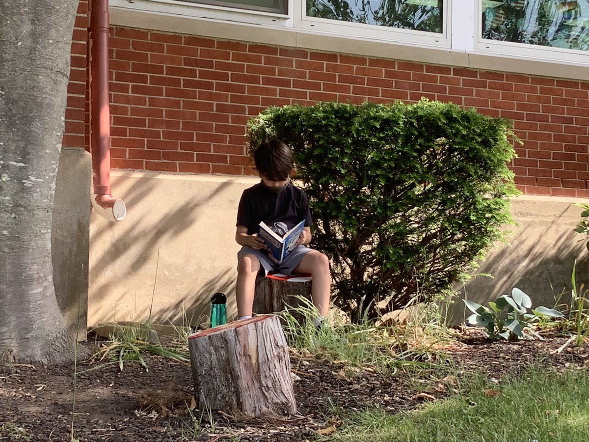 NayattLibrary's tweet photo. It’s a great day to read outside! Reading Week and outdoor toad stools are a joyful combination! @nayattschool @bps_ri @eastbayri https://t.co/kUVbgZ43Pq