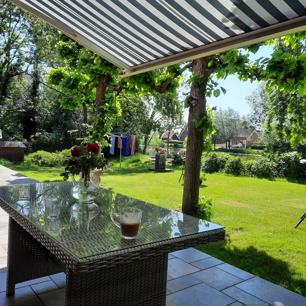 patrick42koning's tweet photo. Heerlijk met de #gasten #lunchen op het #terras in de #achtertuin van #RespijthuisPatrick met mooi uitzicht op de voorbij varende bootjes op de #Alblas. Gewoon genieten! @_maisonpatrick https://t.co/ms4fryxx3z