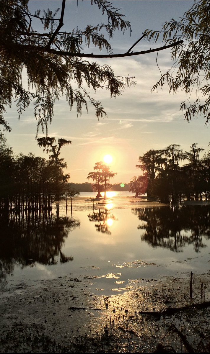 virginiahanusik's tweet photo. The 👏Louisiana 👏wetlands 👏are 👏a 👏national 👏treasure 👏 https://t.co/ttzc9mSkzh