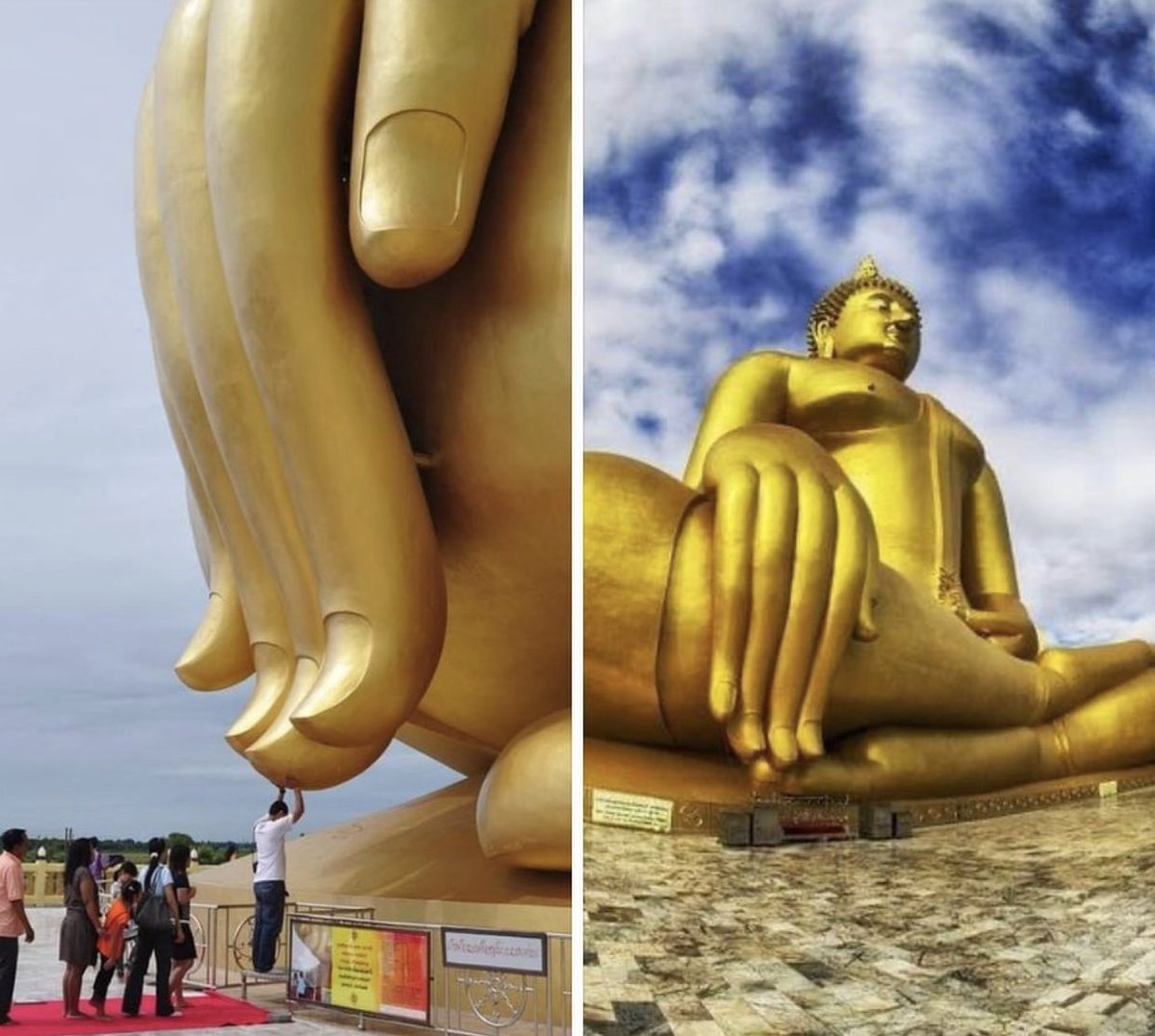 Hector Matos tweet media