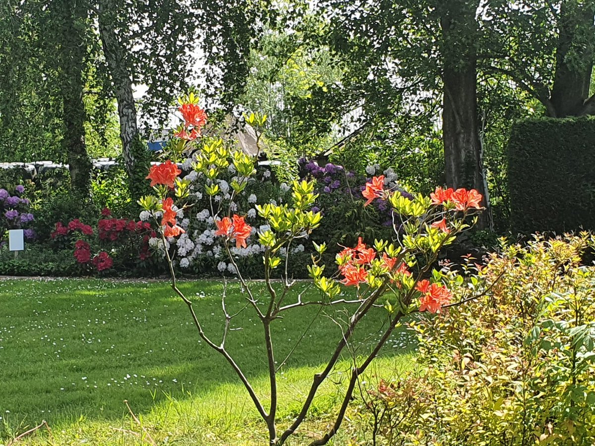 patrick42koning's tweet photo. Heerlijk met de #gasten #lunchen op het #terras in de #achtertuin van #RespijthuisPatrick met mooi uitzicht op de voorbij varende bootjes op de #Alblas. Gewoon genieten! @_maisonpatrick https://t.co/ms4fryxx3z