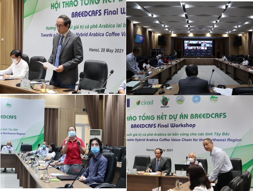 🌿 On May 28, 2021, the <a href="/vaas_vietnam/">Viện Khoa học Nông nghiệp Việt Nam</a> organized the closing meeting of the #BREEDCAFS project in Vietnam, in collaboration with <a href="/Cirad/">Cirad</a> (French Agricultural Research Center for International Development. Check out the pictures of the event! 📷
bit.ly/3zeMaQ9