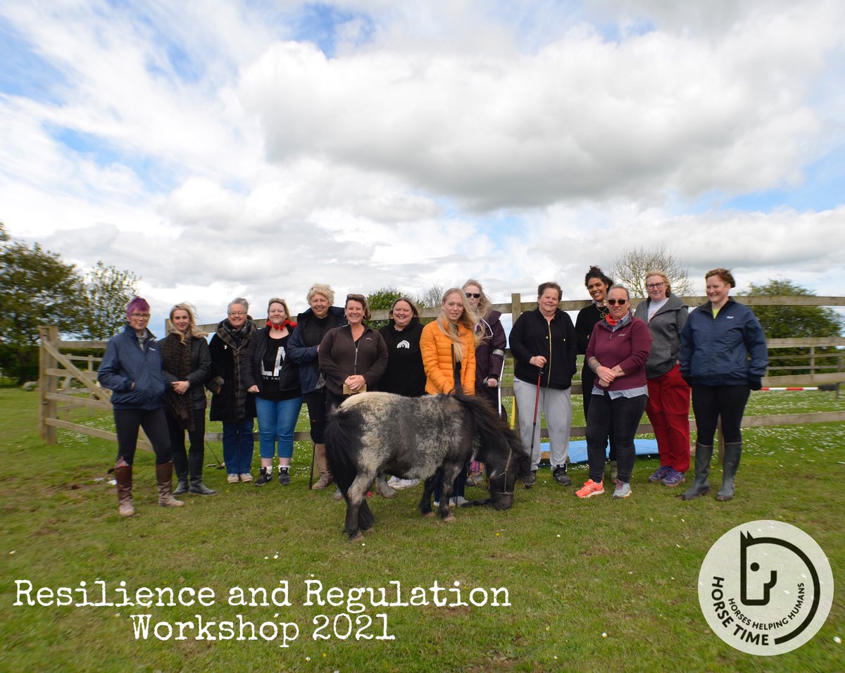 HorseTimeorguk's tweet photo. A massive congratulations to this wonderful group of individuals who recently completed  a six week programme of Resilience and Regulation Workshops. https://t.co/dWJZEdAQla