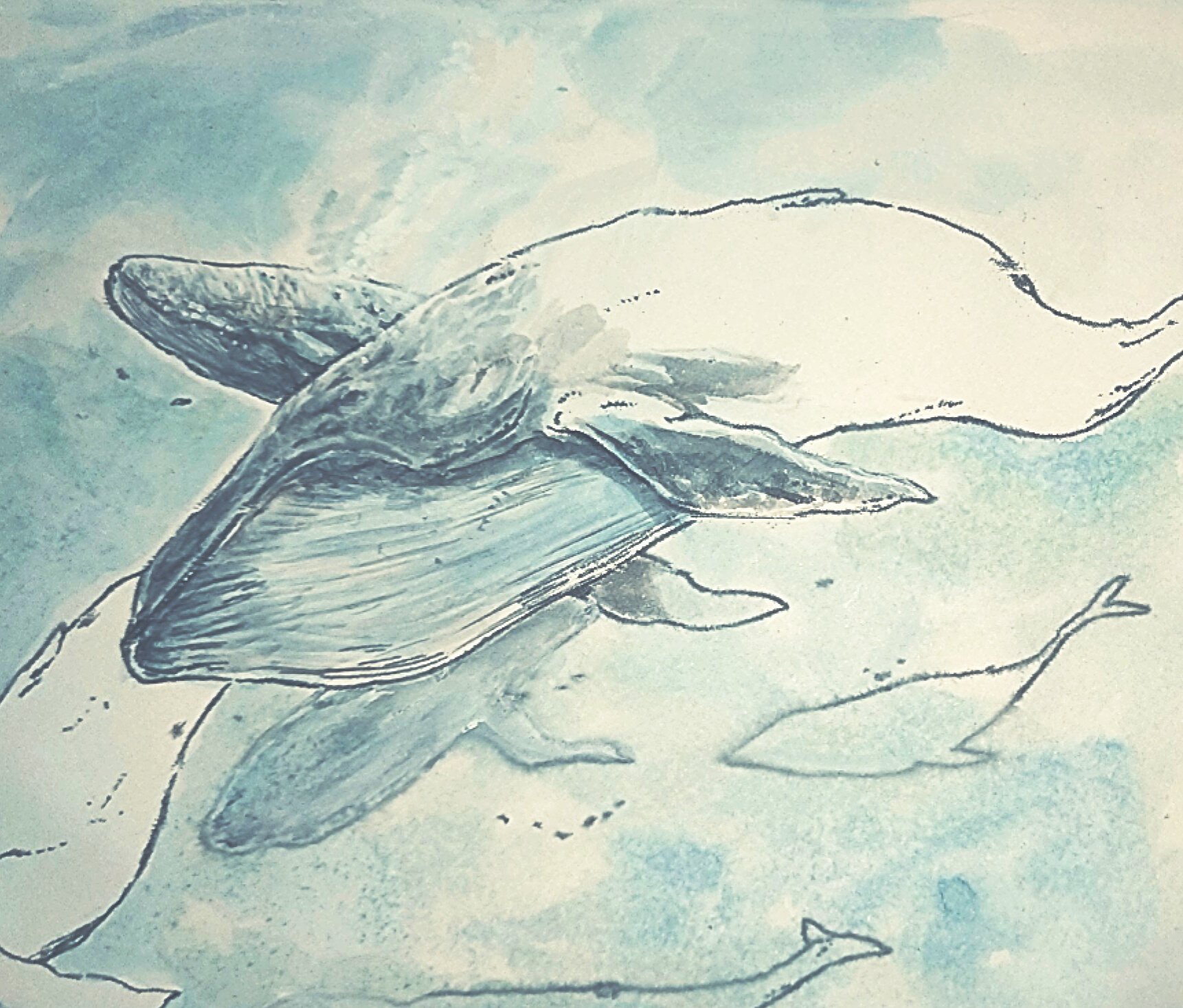 Sfy制作 海獣の子供という漫画がすごく好きで 触発されて描いたクジラです 神秘的ですよね 水のなかを表現するのは本当に大変なんだなぁとつくづく思いました 水彩絵具 イラスト好きと繋がりたい 動物 くじら 絵柄が好みって人にフォローされたい