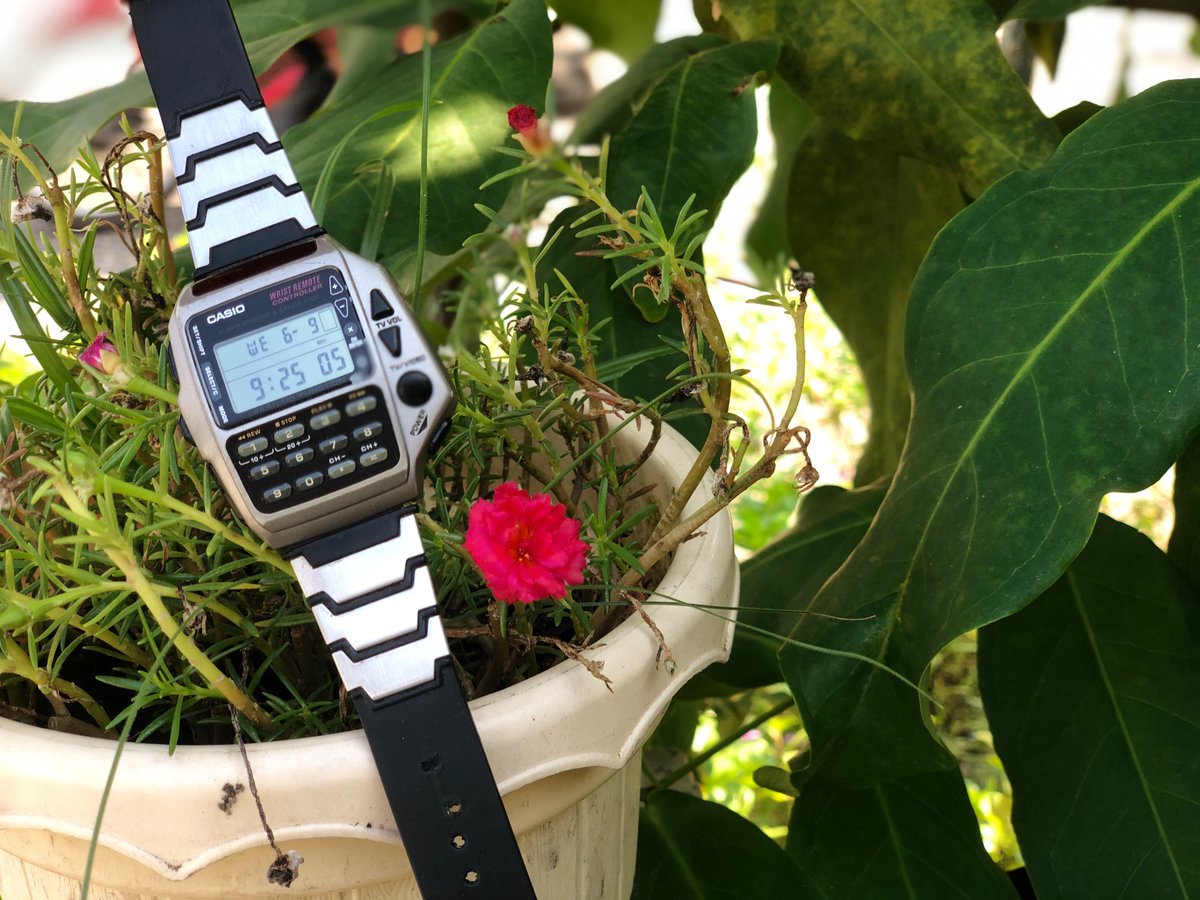 Alohaaa

Buat d jual yaakkk

#casiovintage
#CasioTiapHari