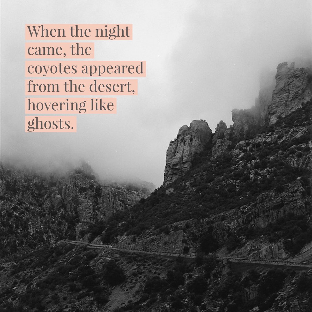 From “Gold” by Kylie Westerlind in Issue 4 | quiplit.org/issue-4-gold/.