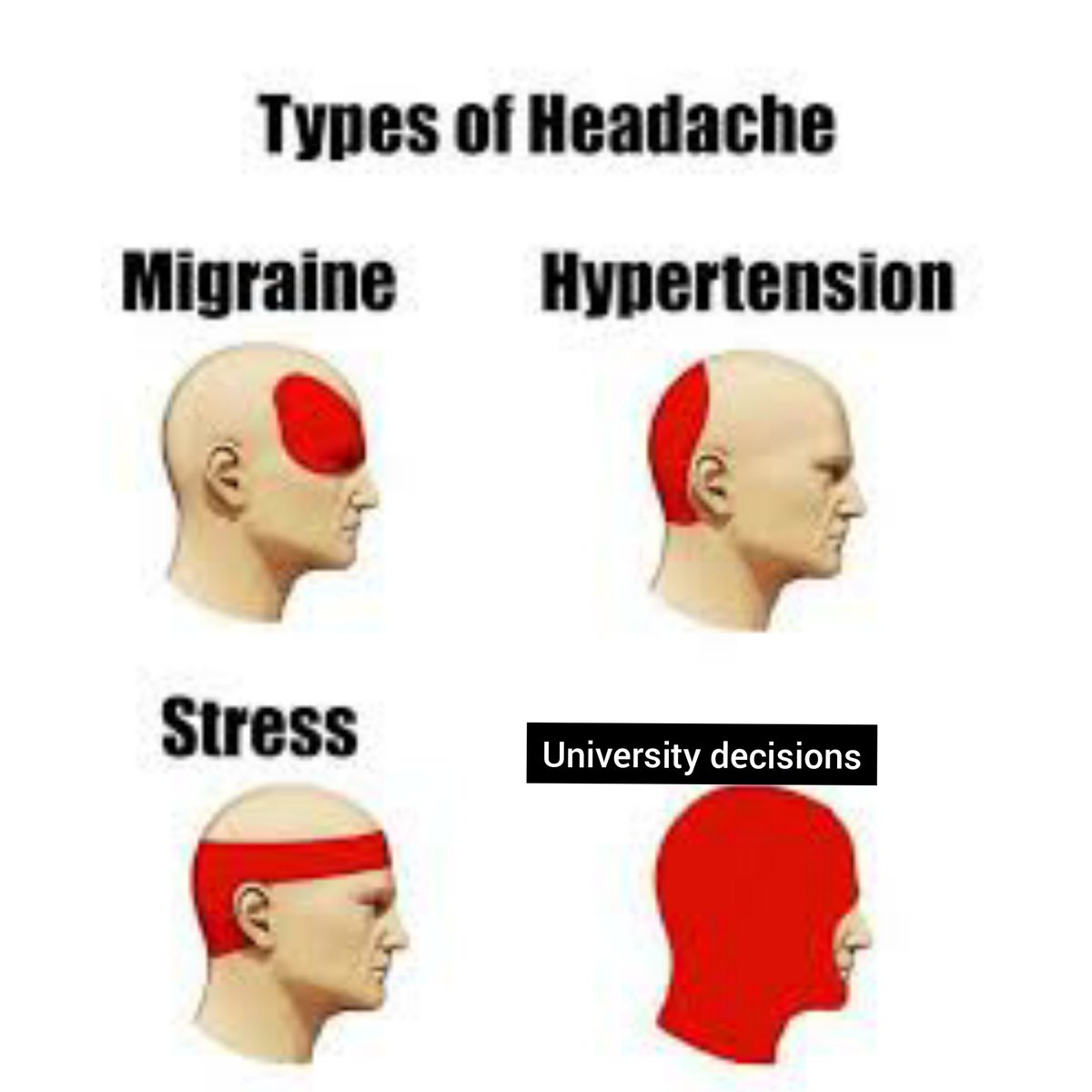 SharonAJ9's tweet photo. 🙃
#Kerala_VaccinatethenGraduate
#CancelKannurUniversityExams
#CancelMgUExams
#CancelCUExams
#CancelKUExams
@ShashiTharoor 
@KeralaGovernor https://t.co/XsGViTouB9