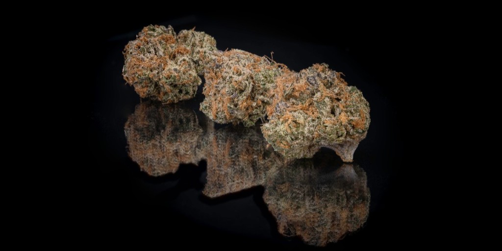 insaforreallife's tweet photo. Bubble Mint Chem, an Insa exclusive cultivated and created by our head grower, Frank Golfieri.
https://t.co/wqzyi0wxPg
#insa #myinsa #terpenethursday #terpene https://t.co/mY4ZuvZE7R