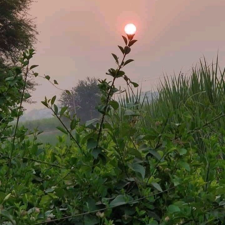 1bp14's tweet photo. #NewProfilePic https://t.co/kB0Vuazpem