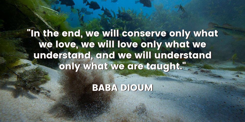 MeadowsC4Water's tweet photo. "In the end, we will conserve only what we love, we will love only what we understand, and we will understand only what we are taught" -Baba Dioum

Wishing you a wonderful Sunday, from your friends at #MC4Water! 📸: Erich Schlegel https://t.co/F2OcyFCXAK