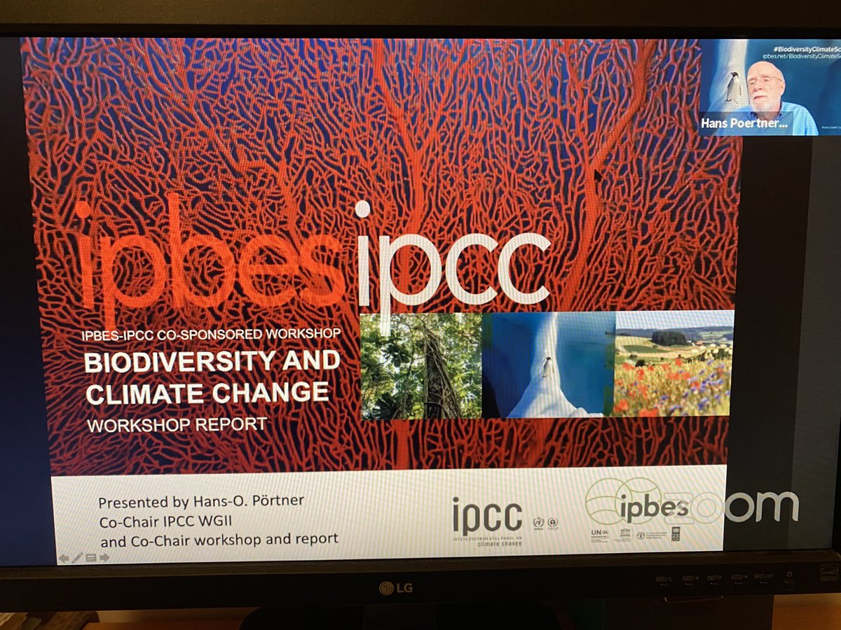 Ram Pandit tweet media