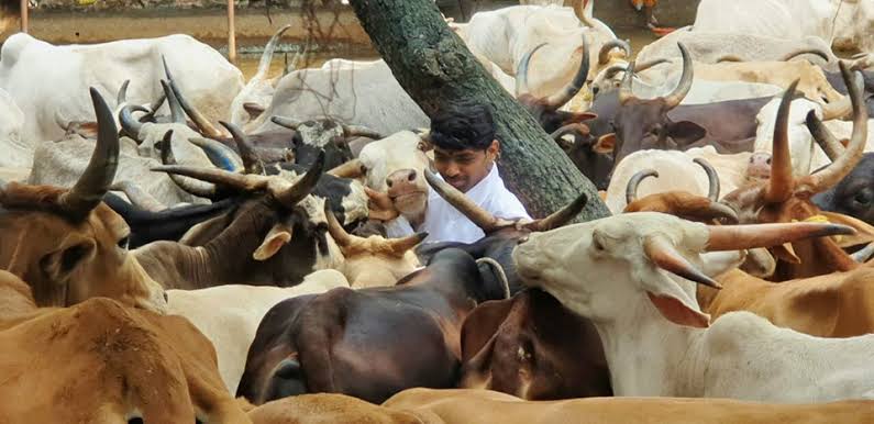 *दीड महिन्यात निस्वार्थी गोरक्षक शिवशंकर स्वामींवर 3 प्राणघातक हल्ले !*

गोरक्षक शिवशंकर स्वामी यांच्यावर मागील महिन्यात 30 मे आळेफाटा पोलीस स्टेशनच्या हद्दीत प्राणघातक हल्ल्याचा प्रयत्न व काल 8जून तारीख इंदापूर येथे 100 च्या आसपास मुस्लिम जमावाने हल्ला करण्याचा प्रयत्न केला