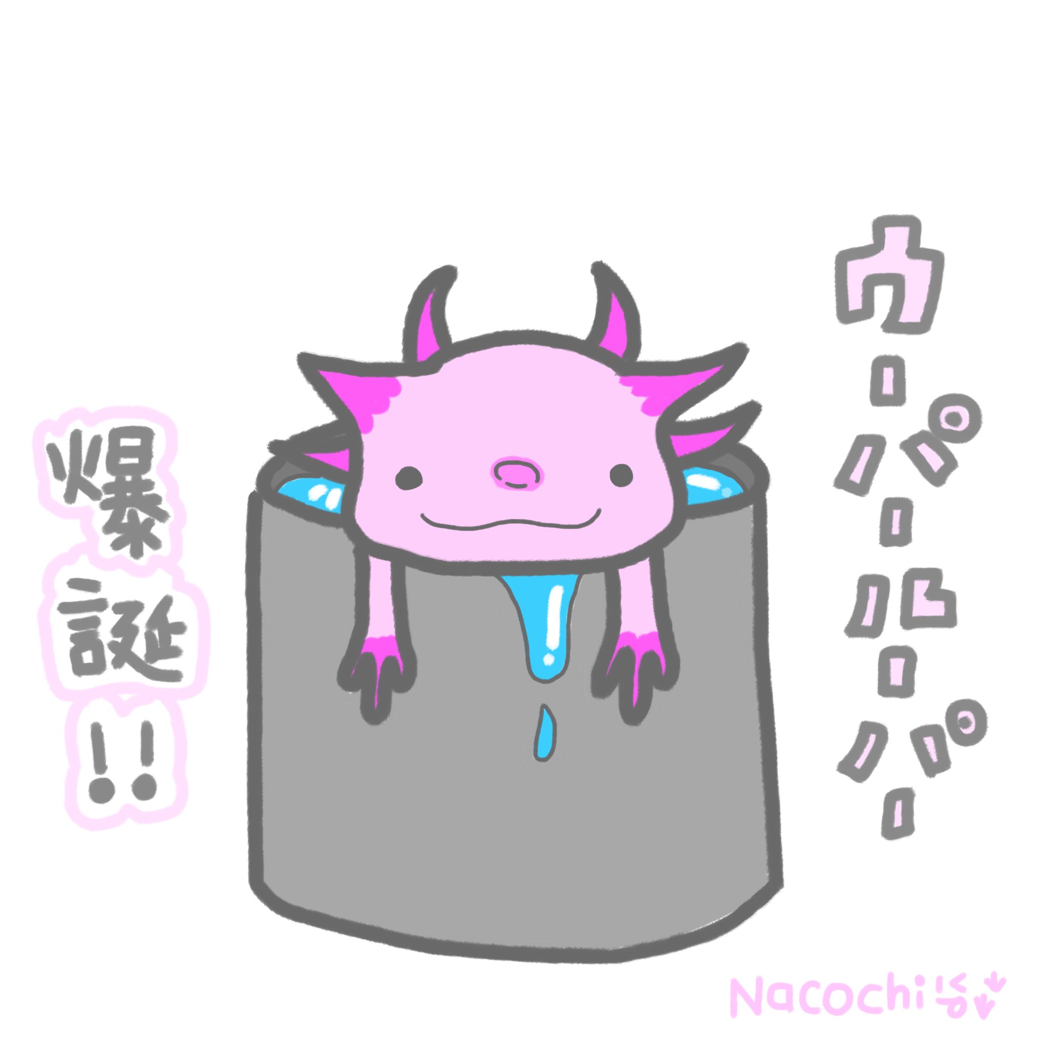 ひかゆたchannel Nacochi Tw 萌 Twitter