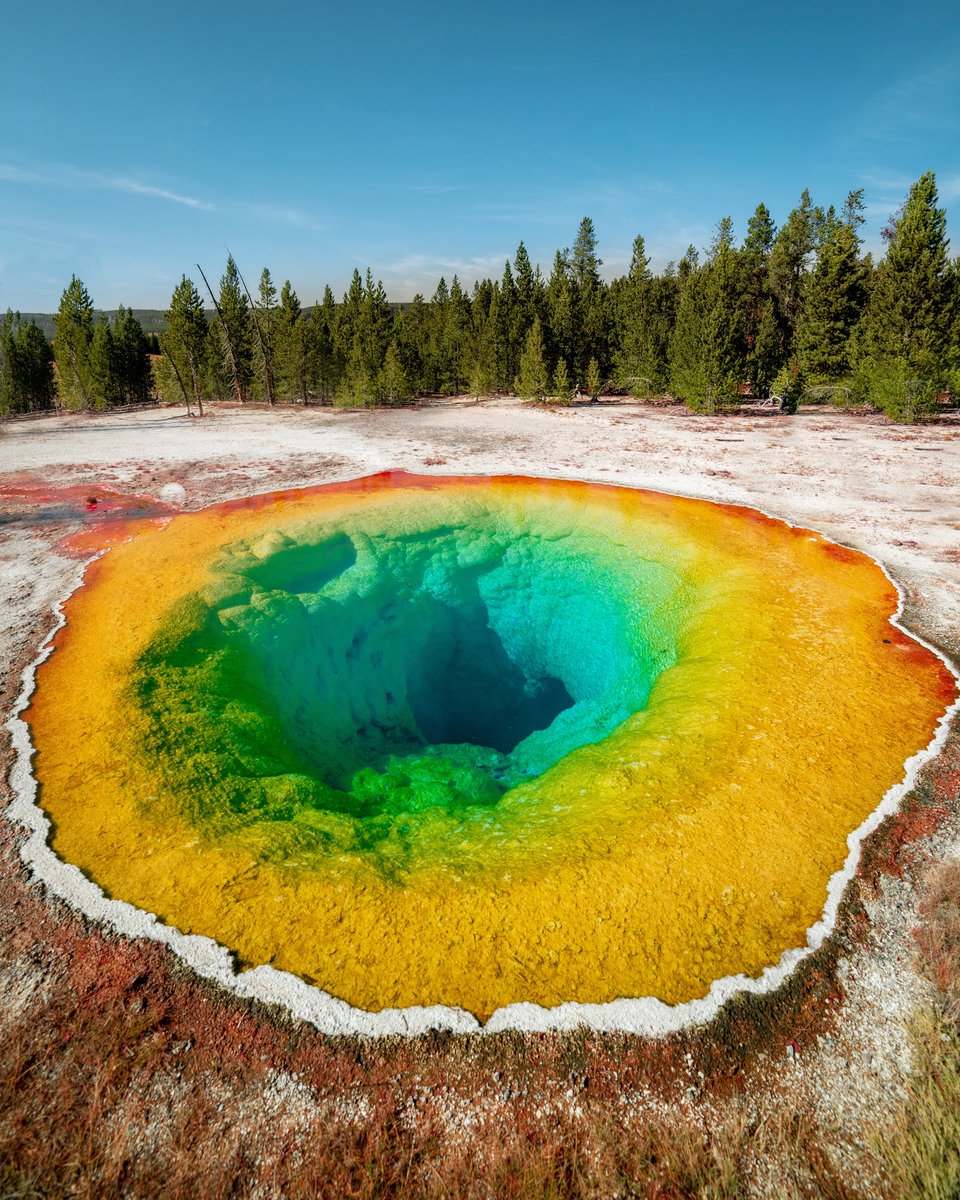 This hot spring used to be BLUE. After years of humans treating this hot spring like a trashcan, its lowered the temp allowing different bacteria to thrive. As the water temperatures cool, microbial mats grow along the hot springs, causing the other colors you see here. 😔 LNT!!