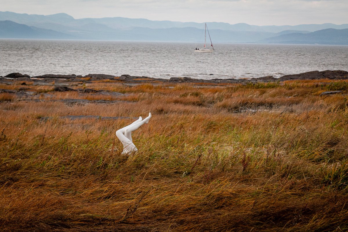 Nous sommes à la recherche d'un coordonnateur ou d'une coordonatrice des projets et des communications. Postulez avant le 15 juin au coordination@fleuve-espacedanse.com.  Pour consulter l'offre d'emploi: fleuve-espacedanse.com/emploi/ #emploi #fleuveespacedanse