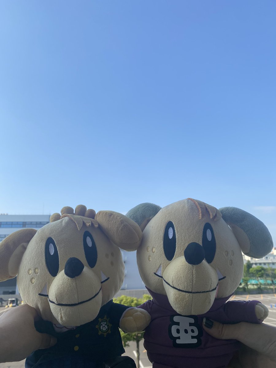_05natsu_'s tweet photo. 〜RISING SUN TO THE WORLD〜
名古屋 1days

最高でした✨✨
セトリも変わってたみたいで、BOTも聴けたし！！
席遠かったけどめちゃくちゃ楽しかった💓ビバラ最高でしかない！！！！
とりあえずEXILETRIBEほんとにありがとう！！！！
#BBZ #GENE #ランペ #EXLLE
 #ファンタ #JSB3 #EXILETRIBE https://t.co/L14BFvaAeg