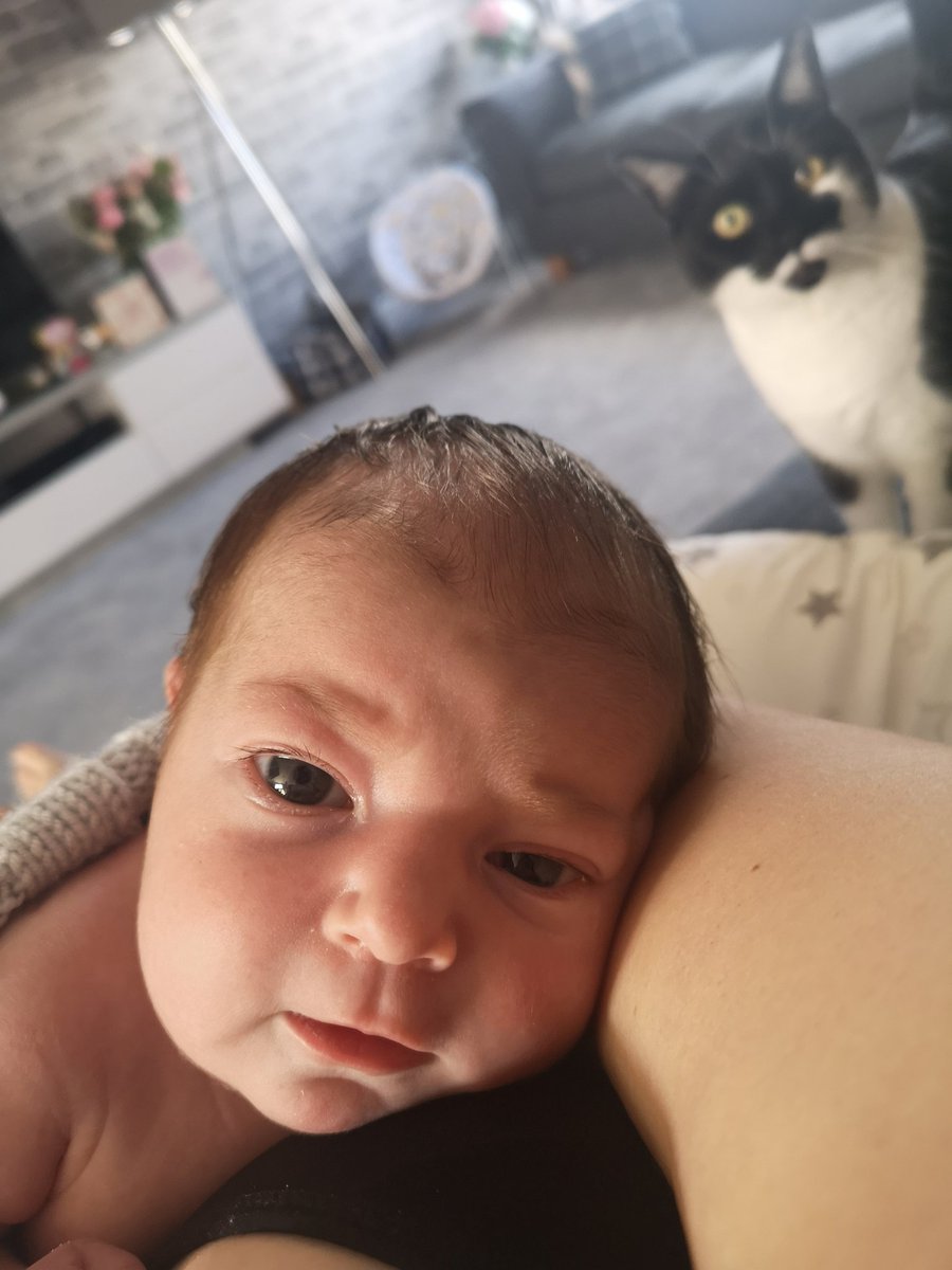MrsJeanes's tweet photo. Post bath cuddles. Levi is getting a little bit more interested in her little sister 😂. #LexieJeanes #LeviJeanes #MyGirls #LoveThisPic https://t.co/grAUqrkBlq