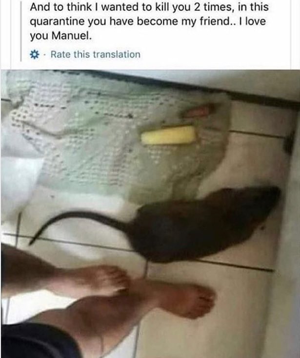 quitlif3's tweet image. 