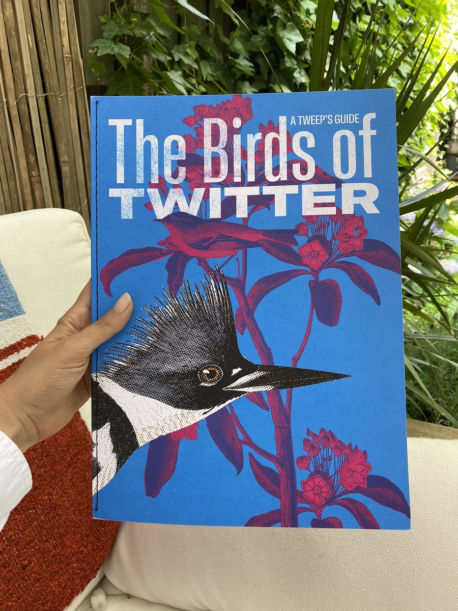 artfullyawear's tweet photo. These are a few of my favorite things:
🐦 Design
🐦 Birds
🐦 Twitter
Thanks to #TwitterStudio and @kendrek for the most inspiring mailer! #BirdTwitter https://t.co/rhzkGVPdUD