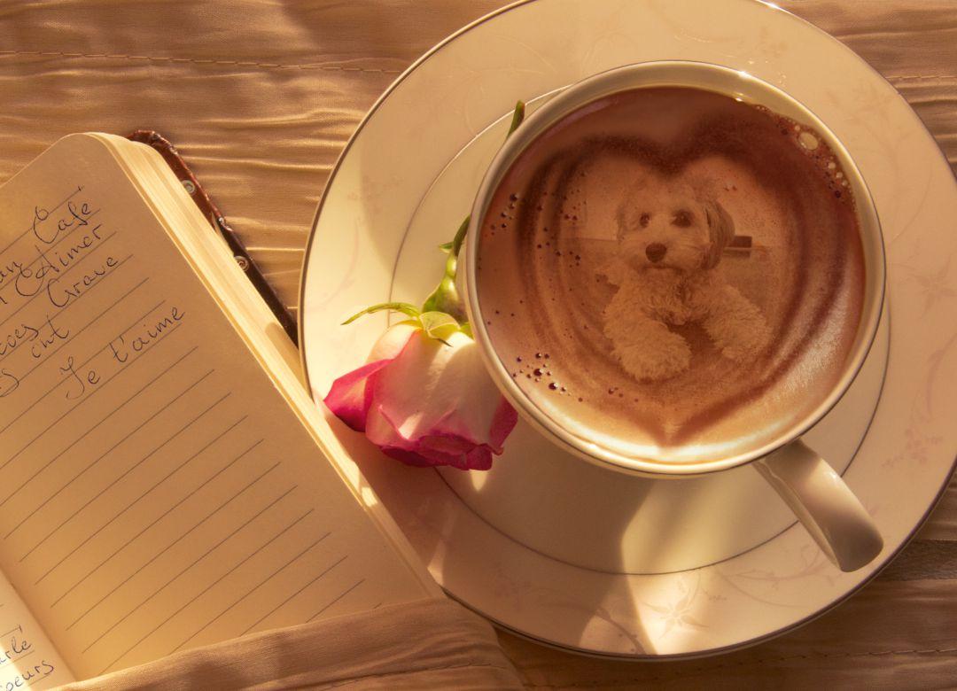 KirinArnold's tweet photo. #ThingsImExtraGoodAt making edits....coffee edits to be exact. (One older, 3 NEW!)
@HamillHimself @1Flukeskywalker @ItsMarkHamill @maka_gh @LitaNeumann @Jedi_Archivist https://t.co/plEkkKNcEr