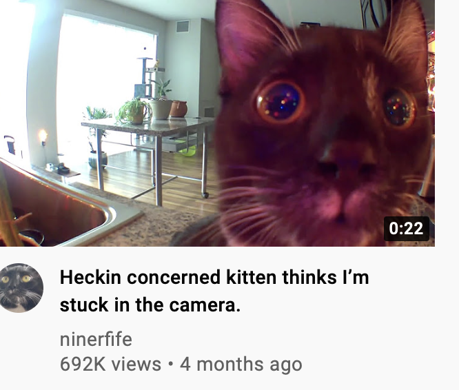 WholesomeMeme's tweet photo. https://t.co/HIwXccHeHB
