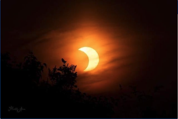 INCREDIBLE eclipse photo by Martina Abreu! She took this in South Dayton this morning. Follow her at @martinaabreuphotos on IG to see more! #seeiton7