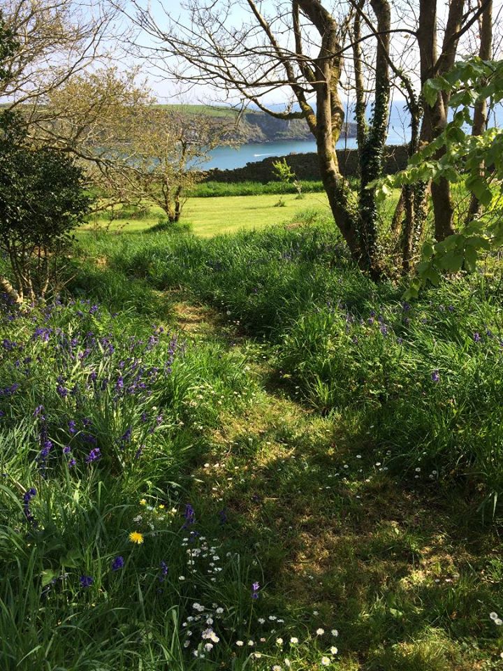 West Cork Garden Trail tweet media