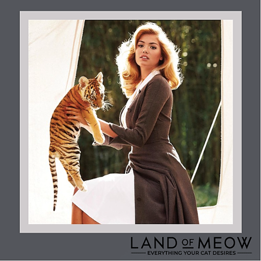 LandOfMeow's tweet photo. HAPPY BIRTHDAY KATE UPTON! Kate Upton is an American model and actress. She first appeared in the Sports Illustrated Swimsuit Issue in 2011 and was the cover model for 2012, 2013 and 2017 issues.  She has also had roles in the films The Other Woman and The Layover#kateupton #fcf https://t.co/eY3EiwB3Oe