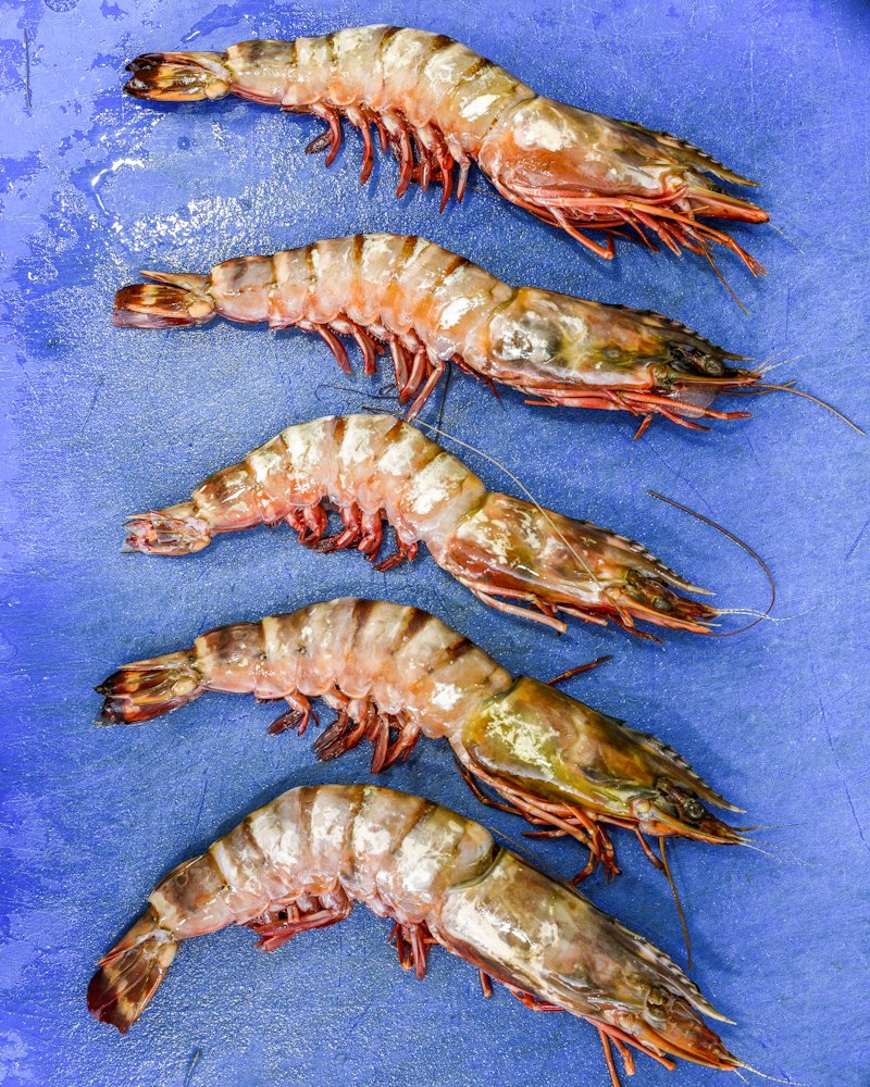 Sankey's Fishmongers tweet media