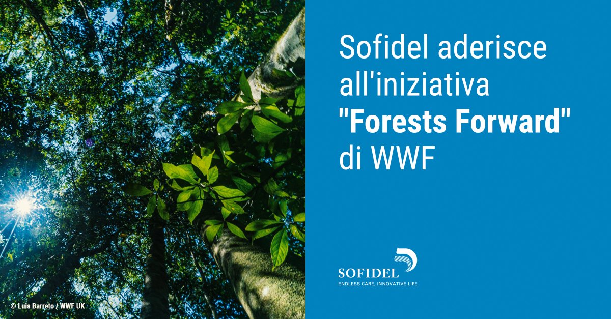 Sofidelsharing's tweet photo. Siamo tra le prime aziende ad aver aderito a #ForestsForward, un'iniziativa @WWF per accelerare gli impegni in sostenibilità ambientale di aziende e investitori a livello globale, riconoscendo il valore delle #foreste.
https://t.co/SDj2HV65Zj
@WWFitalia https://t.co/kLeKuV5atu