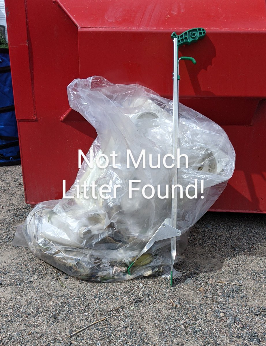 Old Critter Fighting Litter tweet media