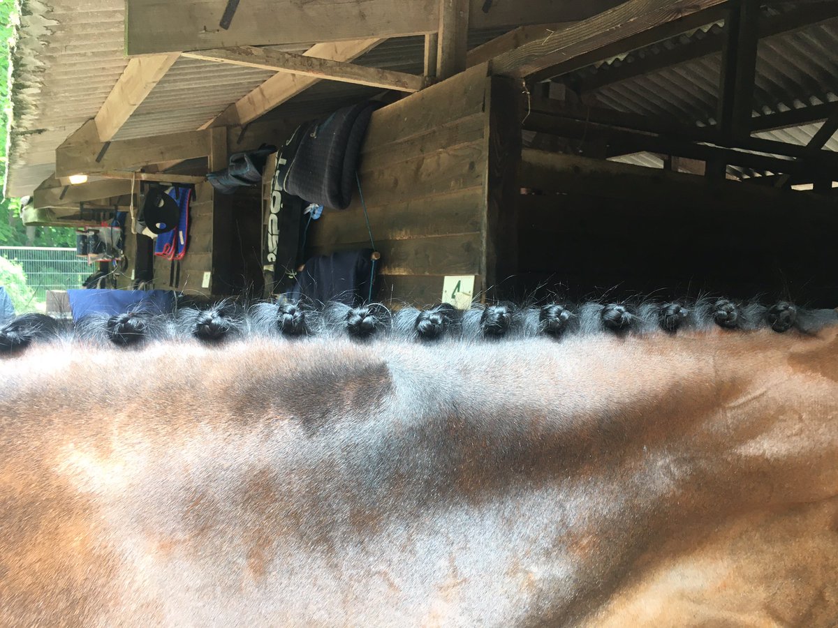 Team Bleekman tweet media