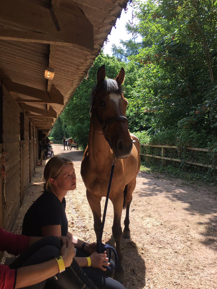 Team Bleekman tweet media