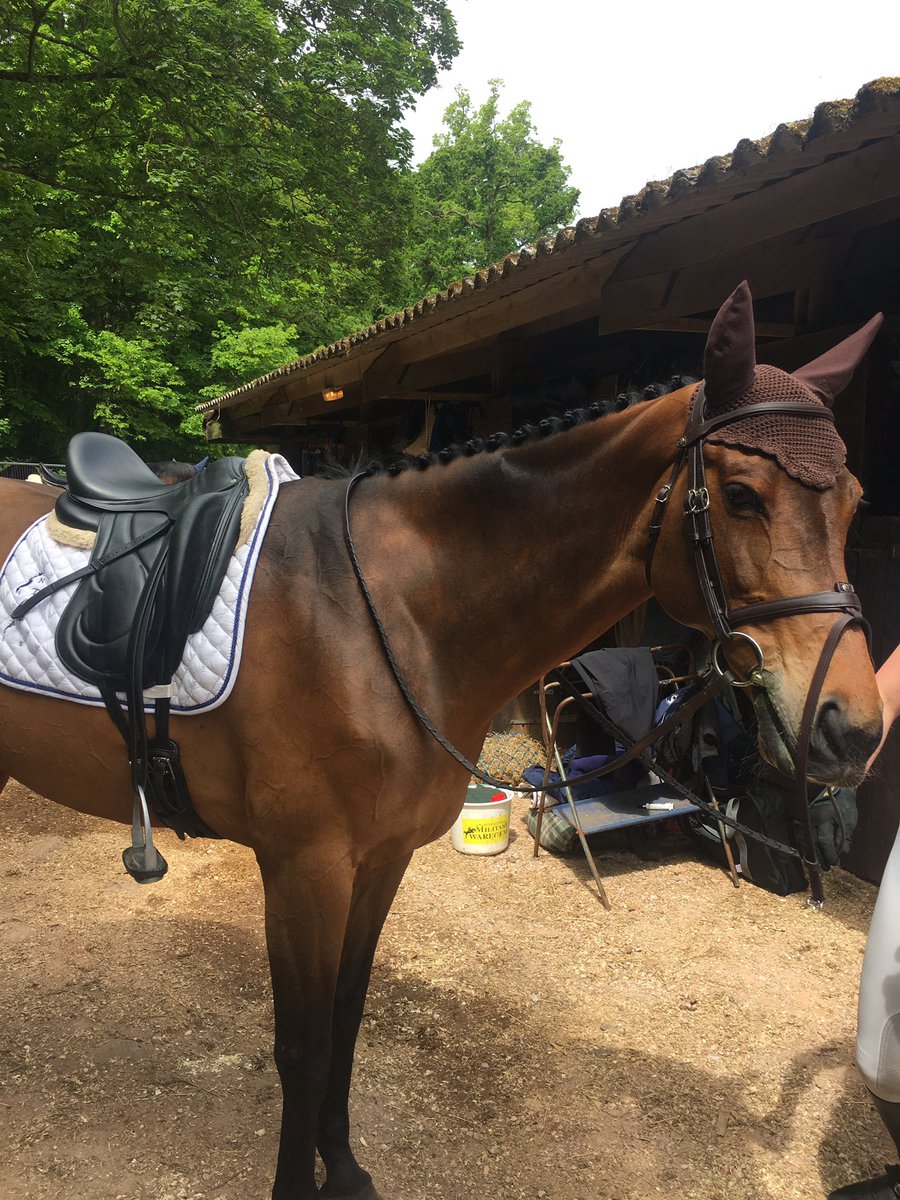 Team Bleekman tweet media